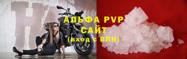 прущие грибы Надым