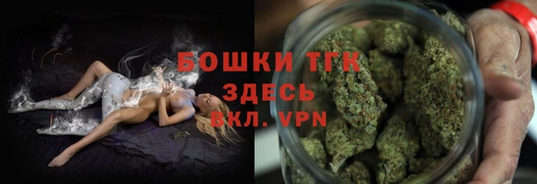 прущие грибы Надым