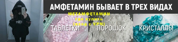 прущие грибы Надым