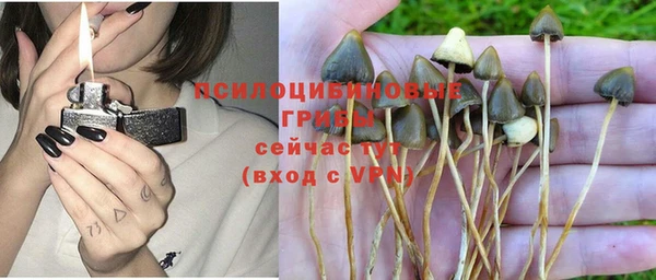 амф Михайловка