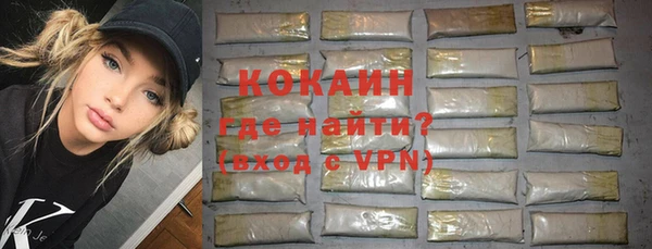 прущие грибы Надым