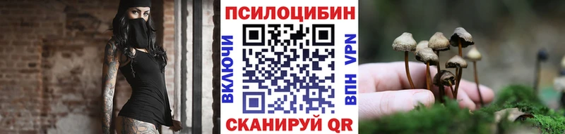 гидра онион  Шуя  Галлюциногенные грибы Psilocybine cubensis 