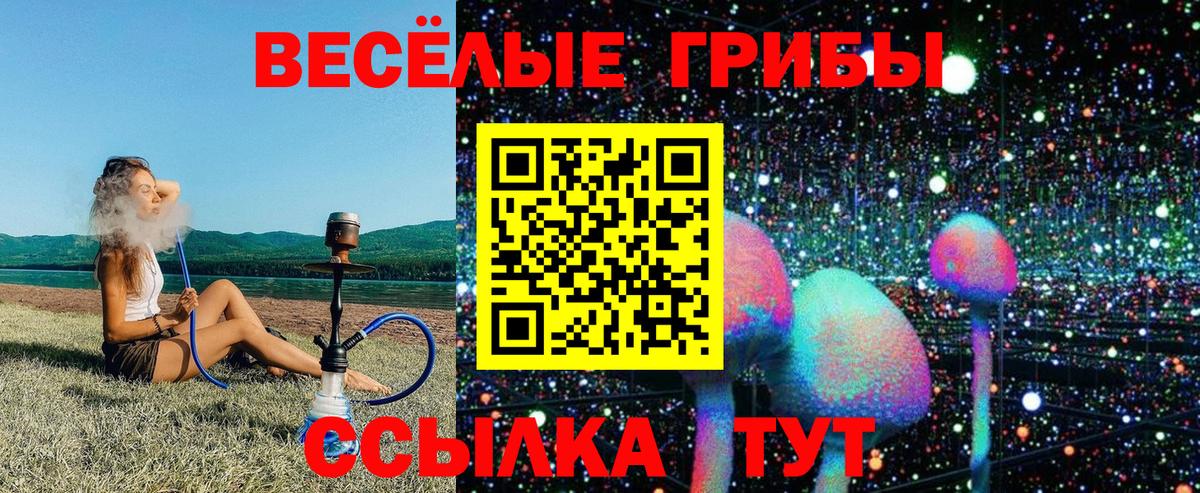 Галлюциногенные грибы Psilocybine cubensis Шуя