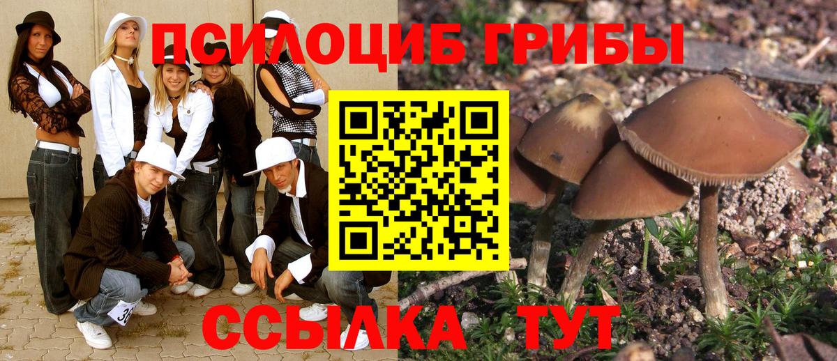 Шуя  COCAIN  APVP СОЛЬ кристаллы  Меф кристаллы  АМФЕТАМИН   Экстази  НБОМе  Каннабис  ГАШ  МЕФ кристаллы 