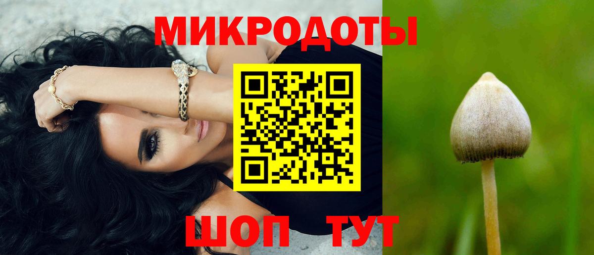 Псилоцибиновые грибы MAGIC MUSHROOMS Шуя