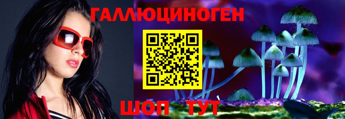 Шуя  Псилоцибиновые грибы ЛСД  купить наркотики цена  Вход с VPN 